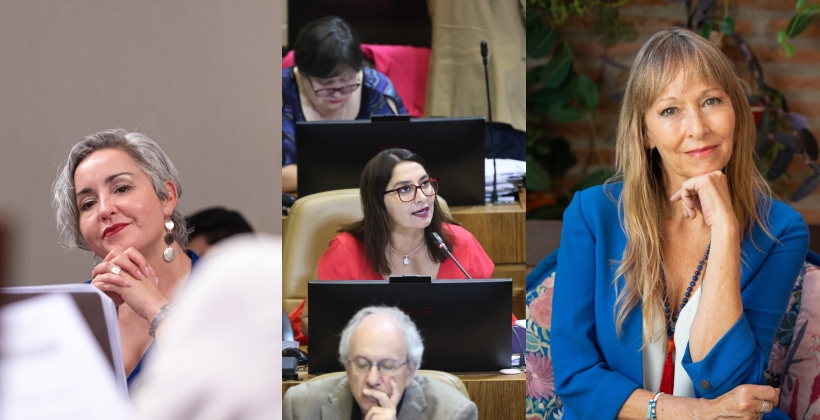 Diputadas piden urgencia al Gobierno para avanzar con la Ley Adriana en el Senado Diputadas piden urgencia al Gobierno para avanzar con la Ley Adriana en el Senado