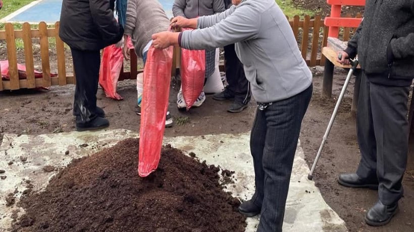 Personas mayores de Chonchi crean huerto comunitario en Cediam