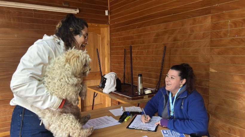 Municipalidad de Castro realiza jornada de cuidado animal en Villa Los Colonos