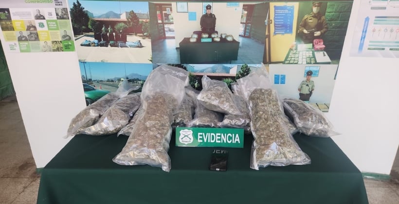 Detienen a pasajero con casi 12 kilos de marihuana en bus interprovincial en la Ruta 5 Norte Detienen a pasajero con casi 12 kilos de marihuana en bus interprovincial en la Ruta 5 Norte