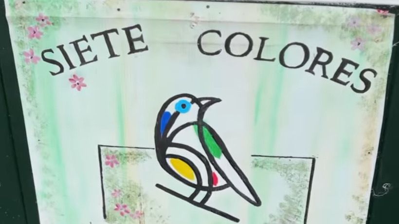 Emprendedoras de Llanquihue inauguran local &quot;Siete Colores&quot;