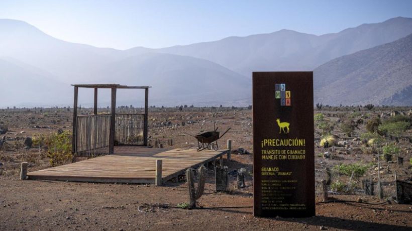 Nuevo informe de Conaf advierte graves impactos ambientales del proyecto Dominga y pone en duda su viabilidad