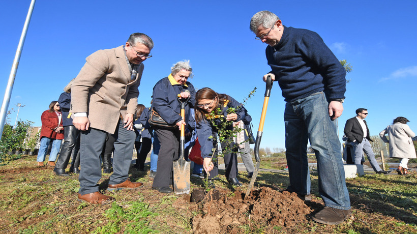 Municipio realiza plantación de 50 árboles nativos en Parque Pedro de Valdivia en Temuco Municipio realiza plantación de 50 árboles nativos en Parque Pedro de Valdivia en Temuco