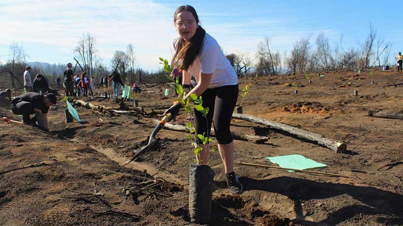 Vecinos de Santa Marta se forman en técnicas de restauración y manejo de bosques nativos degradados