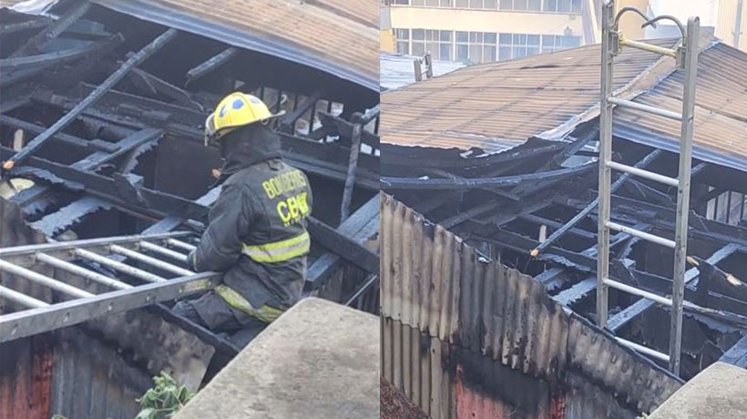 [VIDEO] Incendio consumió por completo a una vivienda en cerro Cordillera de Valparaíso