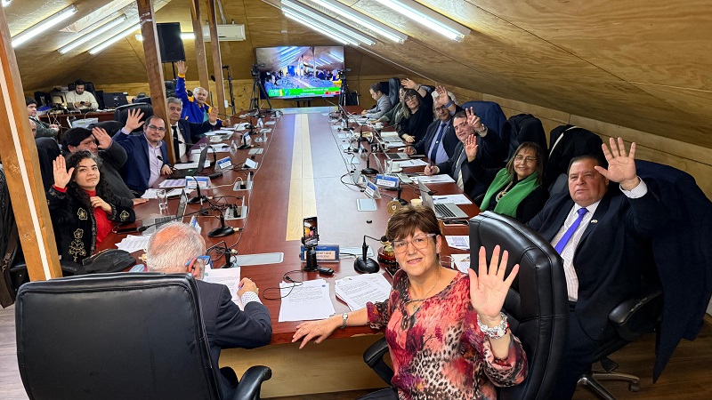 Core Los Ríos aprobó más de $174 millones para mejoramiento de la calle Luis Damann en Valdivia