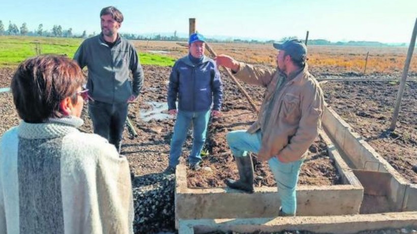 Seleccionan 260 proyectos para fortalecer soberanía alimentaria en Ñuble