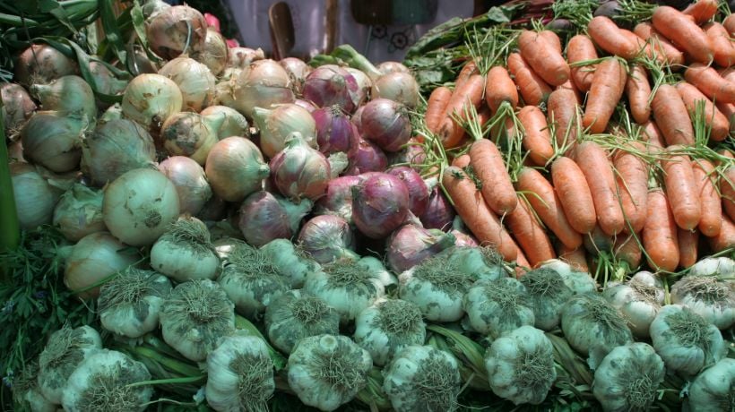 Destacan aporte del nuevo seguro catastrófico para mosca de la fruta en mesa técnica en Tarapacá Destacan aporte del nuevo seguro catastrófico para mosca de la fruta en mesa técnica en Tarapacá