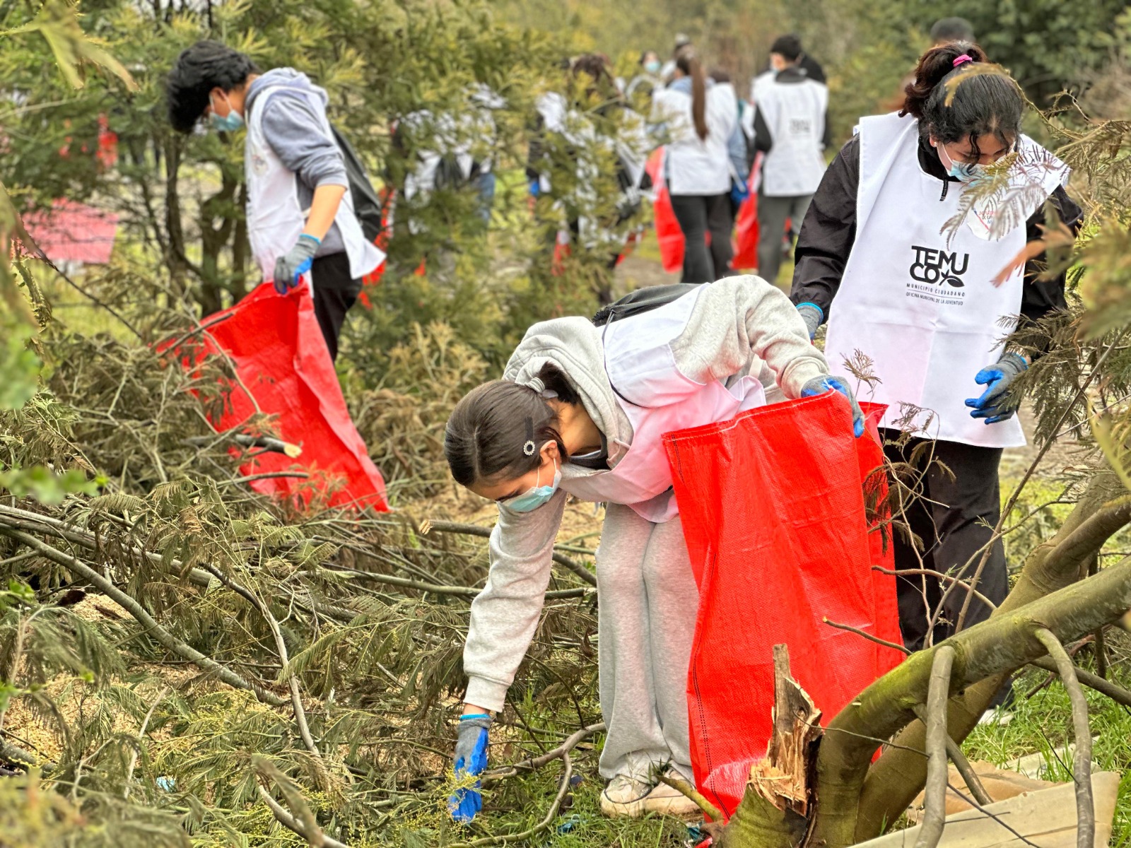 Temuco: Jóvenes por un Chile Mejor recolectan 35 toneladas de basura en megaoperativo de limpieza del Humedal Antumalén Temuco: Jóvenes por un Chile Mejor recolectan 35 toneladas de basura en megaoperativo de limpieza del Humedal Antumalén