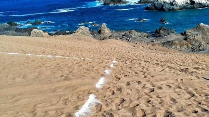 Denuncian nuevo intento de toma de terrenos aledaños a Costa Laguna en Antofagasta Denuncian nuevo intento de toma de terrenos aledaños a Costa Laguna en Antofagasta