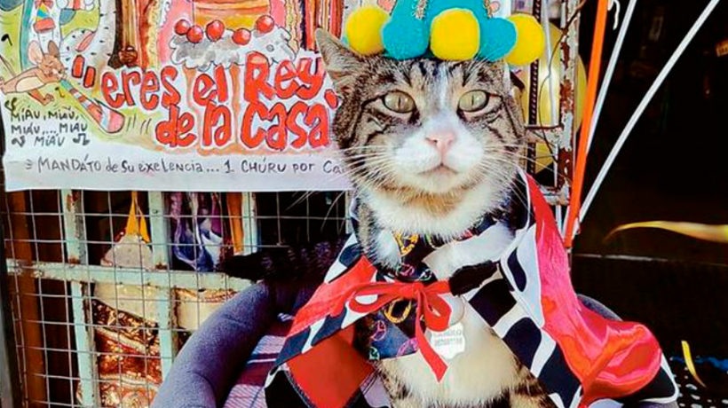 Señor Carolo ya cumplió tres años y así lo celebró en el Barrio Puerto Señor Carolo ya cumplió tres años y así lo celebró en el Barrio Puerto