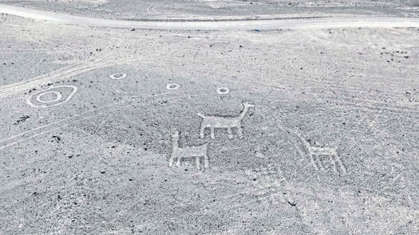 Mapearon más de 100 daños en los geoglifos del Cerro Unita de la región de Tarapacá