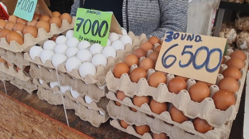 Salud Antofagasta aumenta riesgo sanitario por ingreso ilegal de huevos desde Bolivia