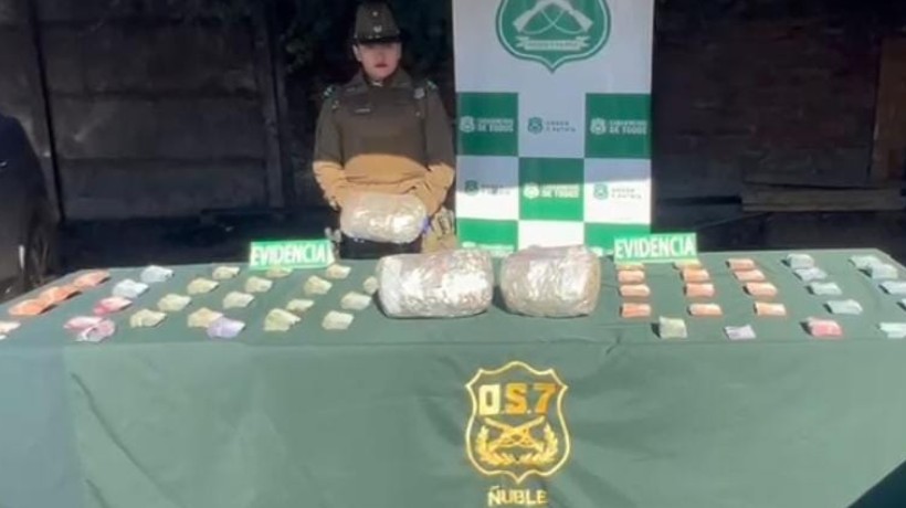 Desbaratan agrupación criminal dedicada a la venta de drogas en Chillán Desbaratan agrupación criminal dedicada a la venta de drogas en Chillán