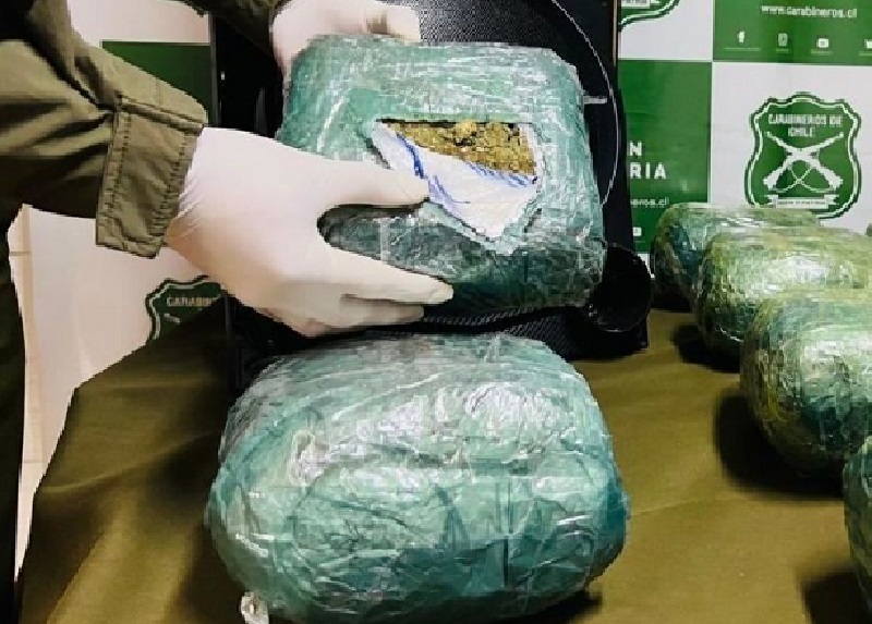 Carabineros del OS7 Valdivia decomisaron más de 8 kilos de marihuana en control carretero Carabineros del OS7 Valdivia decomisaron más de 8 kilos de marihuana en control carretero