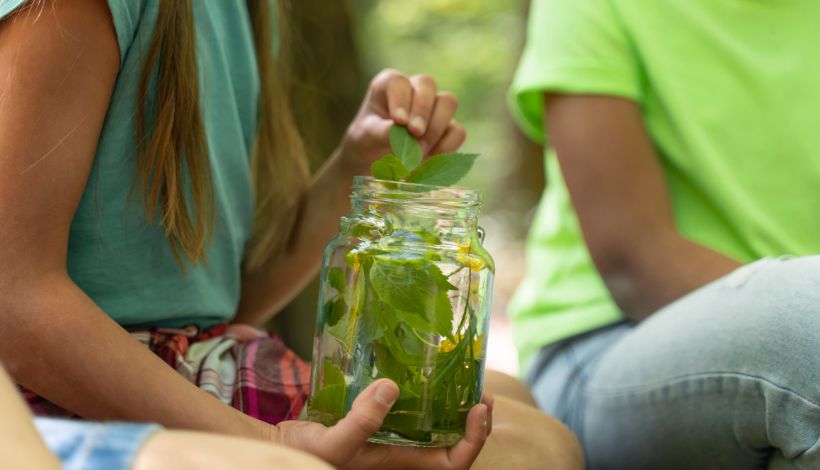 Concurso nacional busca a nuevos líderes sustentables Concurso nacional busca a nuevos líderes sustentables