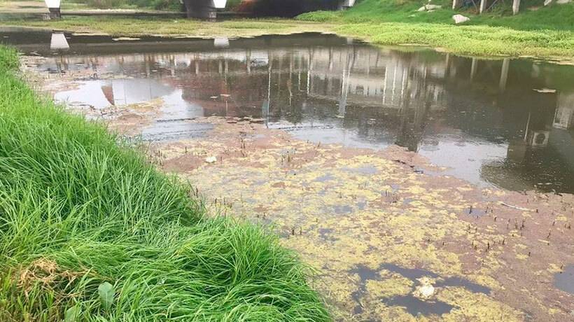 Alertan graves niveles de contaminación en estero de Reñaca Alertan graves niveles de contaminación en estero de Reñaca
