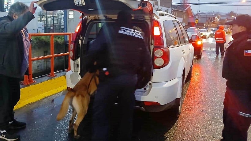 Atrapan a dos pasajeros con drogas en muelle de Quellón: incautaciones aumentan 217%