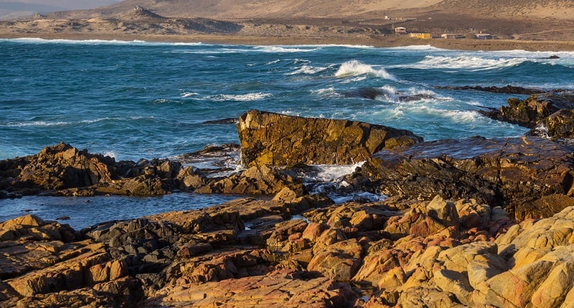 Estudio UCN-UA descubrió nuevas especies marinas y midió metales pesados en costa de Antofagasta Estudio UCN-UA descubrió nuevas especies marinas y midió metales pesados en costa de Antofagasta