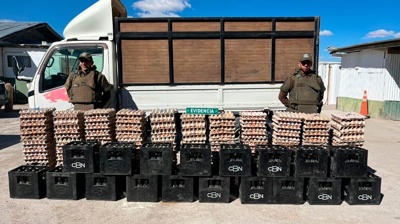 Logran incautar más de 32 mil huevos de contrabando en la Ruta 15-CH en las cercanías de Colchane Logran incautar más de 32 mil huevos de contrabando en la Ruta 15-CH en las cercanías de Colchane