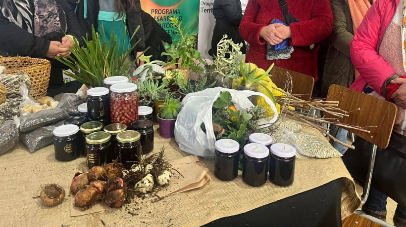 Revitalización del trafkintu en Ancud