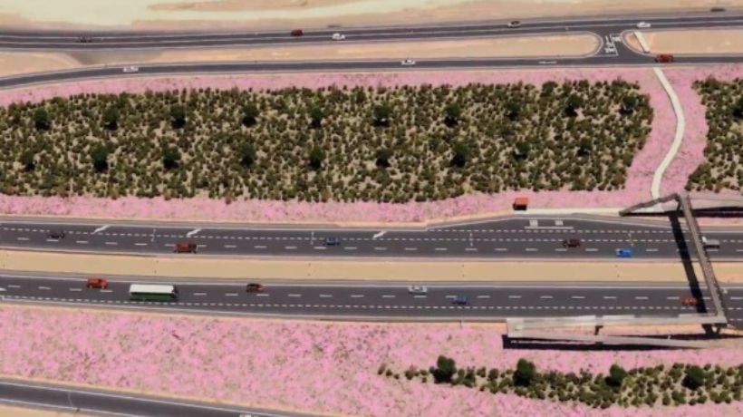 Amplían plazos para licitación de la Ruta 5 entre Caldera y Antofagasta: recepción de ofertas será en octubre Amplían plazos para licitación de la Ruta 5 entre Caldera y Antofagasta: recepción de ofertas será en octubre