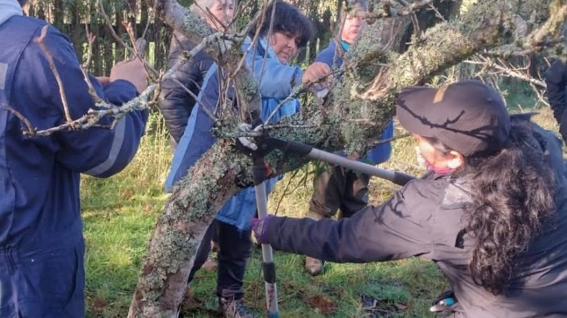 Capacitación en manejo de frutales para usuarios del Prodesal de Chonchi