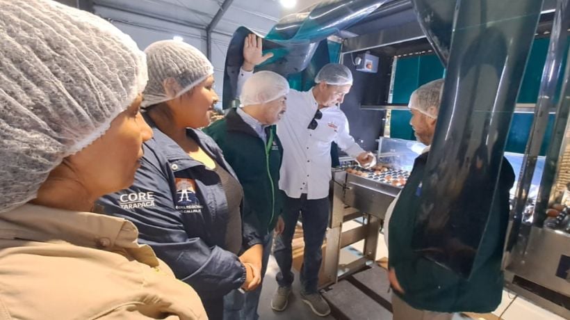 Implementan innovador programa para prevenir la influenza aviar en Tarapacá Implementan innovador programa para prevenir la influenza aviar en Tarapacá