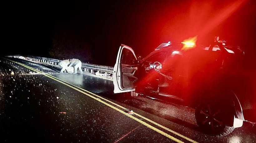[FOTOS] Temporal en Los Lagos: alertan por caída de rocas en la Carretera Austral de Puerto Montt