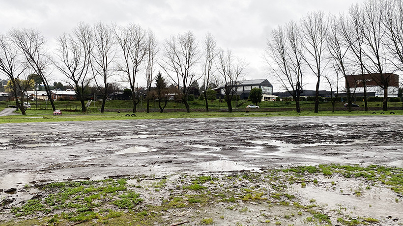 Acusan abandono de terreno de la ex cancha de los viejos crack en Osorno Acusan abandono de terreno de la ex cancha de los viejos crack en Osorno
