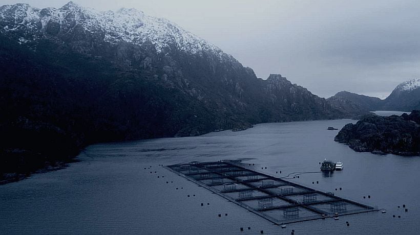 Consejo del Salmón activó protocolos por alerta de tsunami Consejo del Salmón activó protocolos por alerta de tsunami