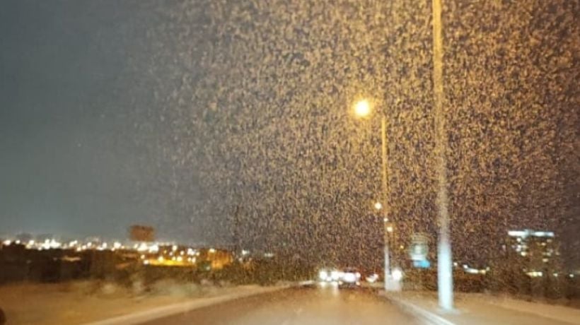 Precipitaciones sorprenden a vecinos de sectores centro y norte de Antofagasta
