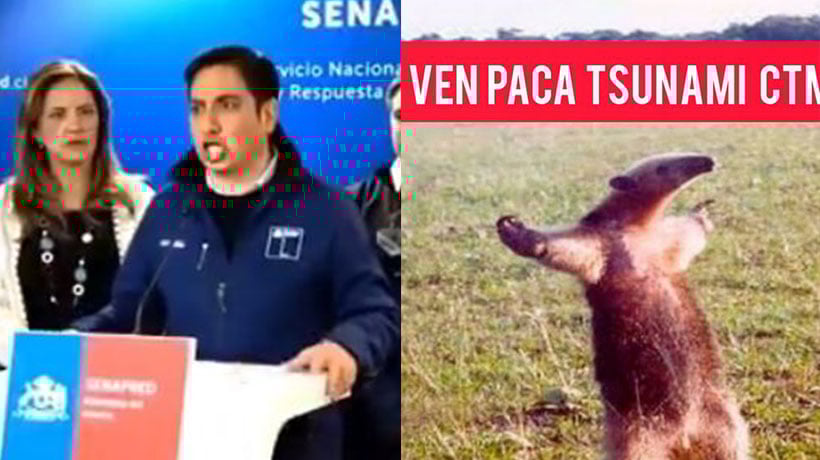 [VIDEO] “No nos podemos tomar nada en serio”: en redes se lucen con memes tras alerta de tsunami en Chile