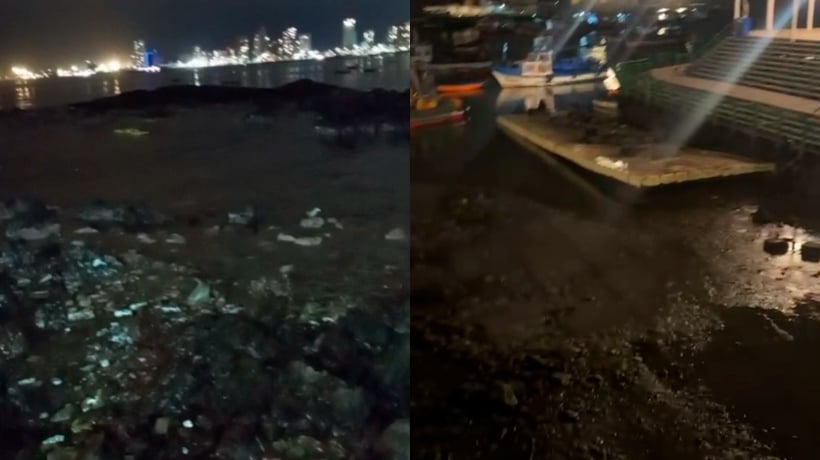 [VIDEOS] Capitán de Puerto de Iquique dijo que baja en la marea es &quot;un fenómeno normal&quot;