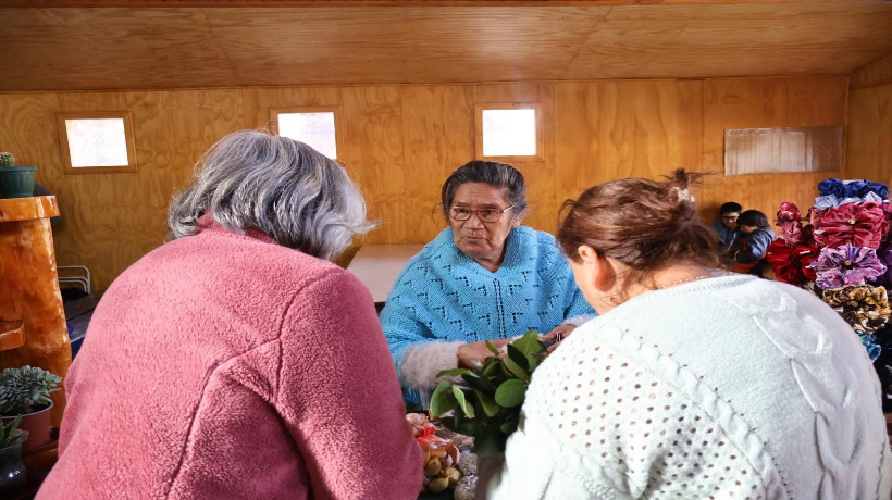 En Correntoso se realizó con éxito una feria rural e intercambio de semillas En Correntoso se realizó con éxito una feria rural e intercambio de semillas