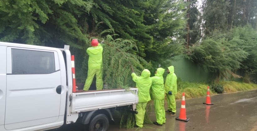Árbol caído en San Pedro dejó sin suministro eléctrico a vecinos: empresa trabaja en el lugar Árbol caído en San Pedro dejó sin suministro eléctrico a vecinos: empresa trabaja en el lugar