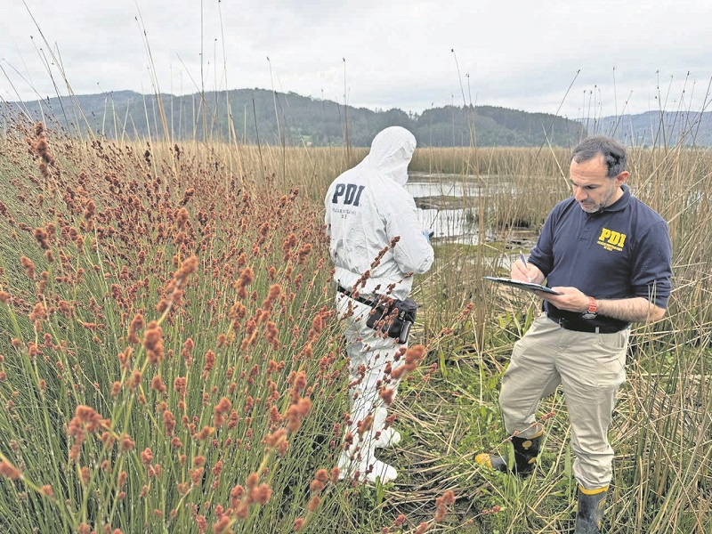 Valdivia: investigación de la PDI permite condenar a dos personas por contaminar santuario Valdivia: investigación de la PDI permite condenar a dos personas por contaminar santuario