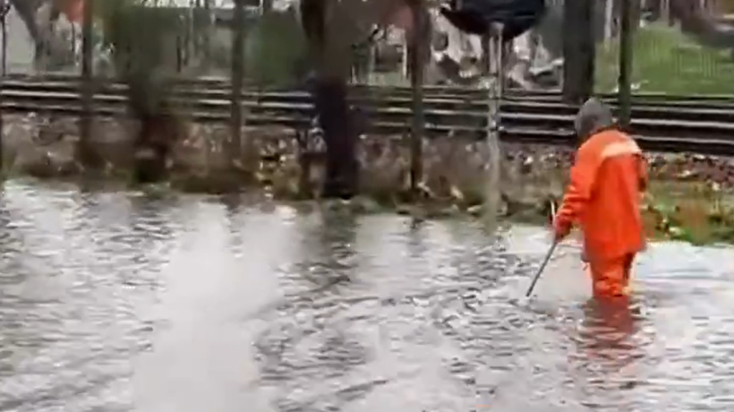 Persiste déficit hídrico en Biobío pese a repunte de precipitaciones en la última semana Persiste déficit hídrico en Biobío pese a repunte de precipitaciones en la última semana