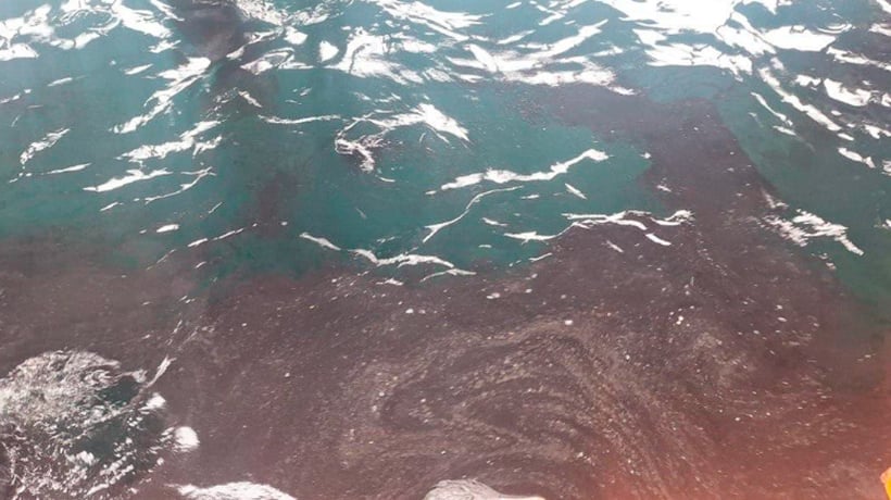 Análisis UPLA descarta riesgo inminente por mancha oleosa en Caleta El Membrillo Análisis UPLA descarta riesgo inminente por mancha oleosa en Caleta El Membrillo
