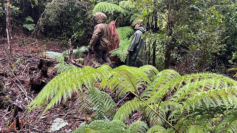 Intentaron estafar a familia de adulta mayor extraviada en Puerto Montt