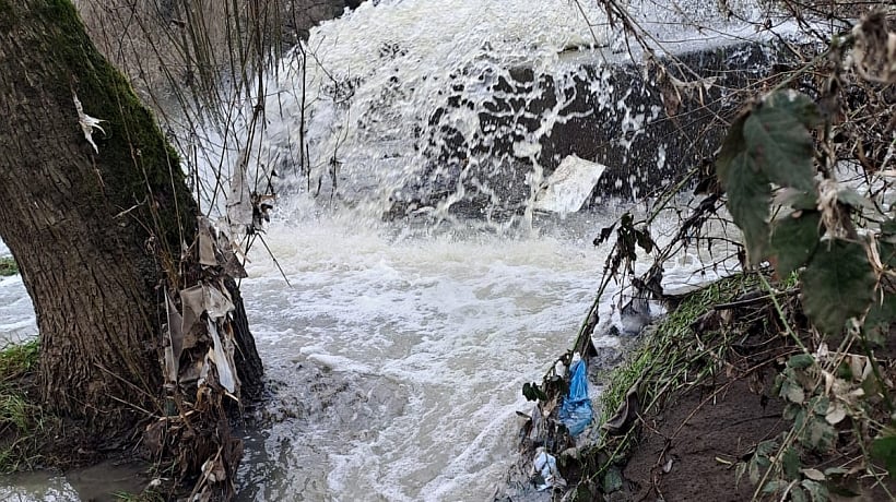 Acusan demoras en investigación a un año del derrame en el río Damas de Osorno