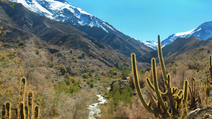 Putaendo avanza en declarar área como Santuario de la Naturaleza tras rechazo a denuncia de minera