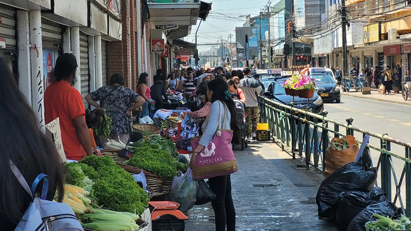 Municipios piden al SII iniciar acciones legales contra quienes abastecen al comercio ambulante