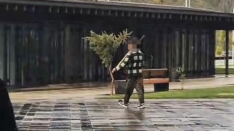 Joven sigue acumulando denuncias por ataques al terminal de buses de Puerto Montt Joven sigue acumulando denuncias por ataques al terminal de buses de Puerto Montt