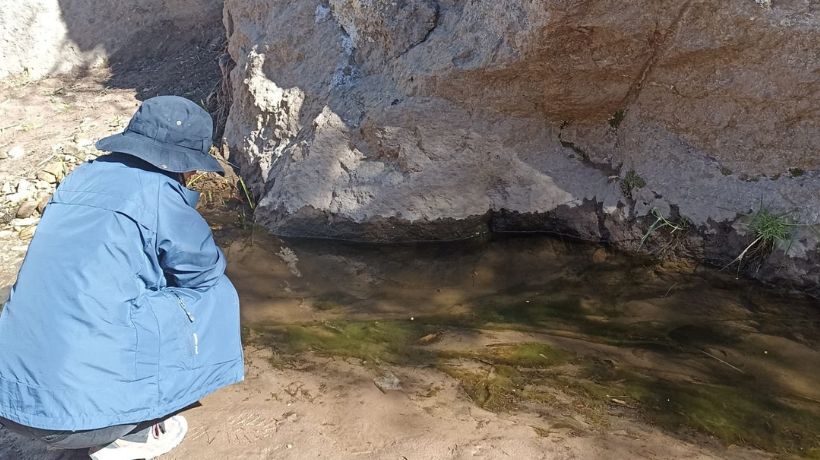Extienden por un año la alerta sanitaria por mosquitos del dengue y malaria en Antofagasta Extienden por un año la alerta sanitaria por mosquitos del dengue y malaria en Antofagasta