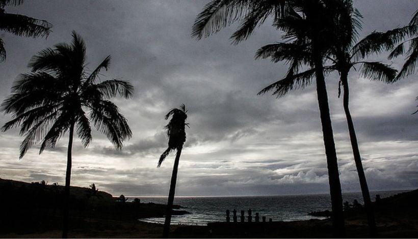 Rapa Nui da un paso clave para la sostenibilidad marina con su primer monitoreo biológico pesquero Rapa Nui da un paso clave para la sostenibilidad marina con su primer monitoreo biológico pesquero