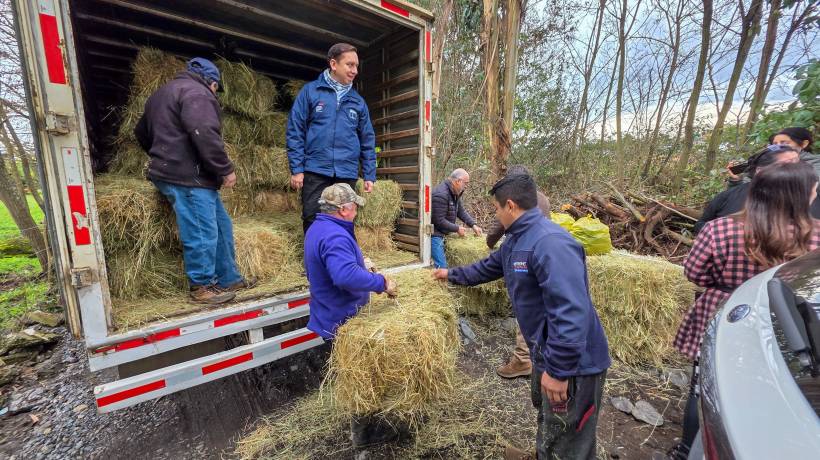 Familias afectadas por sistema frontal en Mulchén reciben alimentos para animales, carbón y agua