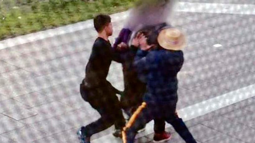 Adolescentes de 14 y 17 años que roban en "jauría" quedaron libres en Viña del Mar Adolescentes de 14 y 17 años que roban en "jauría" quedaron libres en Viña del Mar