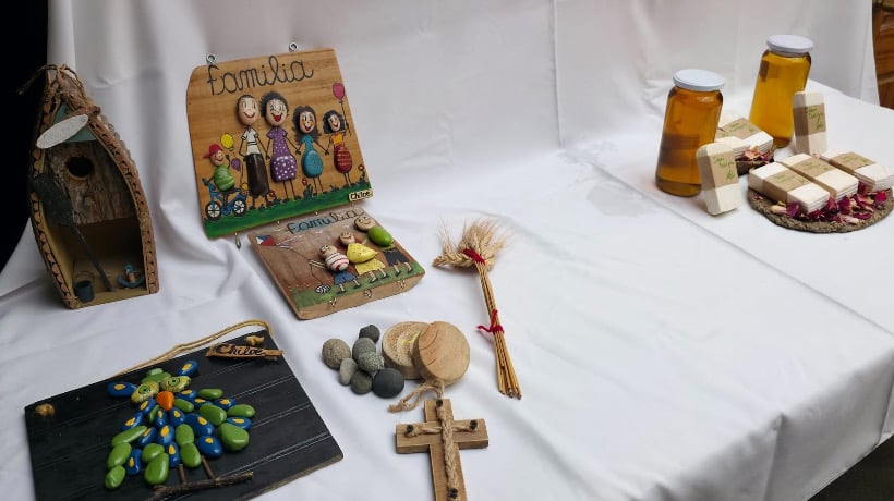 Vecinas de Dalcahue fortalecen negocios con curso de fotografía