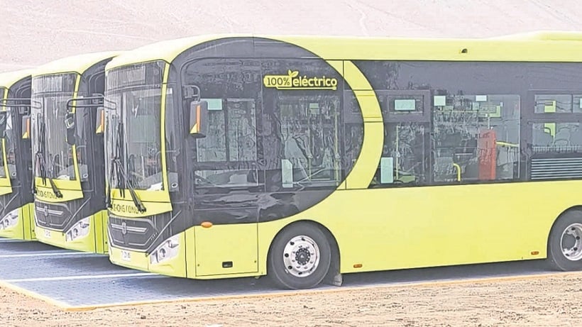 Cero emisiones: Primeros 12 buses eléctricos inician marcha blanca en Arica